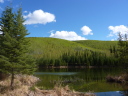 Beaver pond